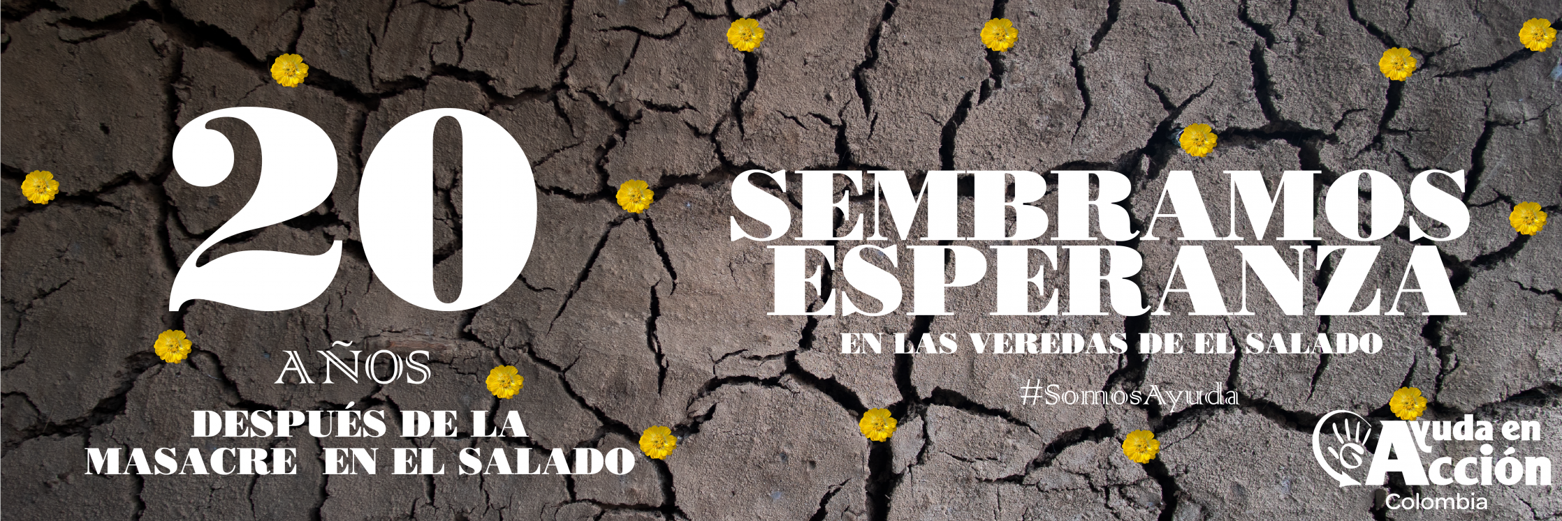 20 años después de la tragedia, sembramos esperanza
